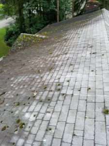 Pressure Washing Randolph NJ, Pressure Washing Pequannock NJ, Pressure Washing Cedar Grove NJ, Pressure Washing Morris Plains NJ, Pressure Washing Chatham NJ, Pressure Washing Denville NJ, Pressure Washing Ramsey NJ, Pressure Washing Glen Rock NJ, Pressure Washing Ridgewood NJ, Pressure Washing Morristown NJ, Pressure Washing Montville NJ, Pressure Washing Upper Saddle River NJ, Pressure Washing Hanover NJ, Pressure Washing East Hanover NJ, Pressure Washing Florham Park NJ, Pressure Washing Caldwell NJ, Pressure Washing Fairfield NJ, Pressure Washing Fairlawn NJ, Pressure Washing Warren NJ, Pressure Washing Milford NJ, Power Washing Randolph NJ, Power Washing Pequannock NJ, Power Washing Cedar Grove NJ, Power Washing Morris Plains NJ, Power Washing Chatham NJ, Power Washing Denville NJ, Power Washing Ramsey NJ, Power Washing Glen Rock NJ, Power Washing Ridgewood NJ, Power Washing Morristown NJ, Power Washing Montville NJ, Power Washing Upper Saddle River NJ, Power Washing Hanover NJ, Power Washing East Hanover NJ, Power Washing Florham Park NJ, Power Washing Caldwell NJ, Power Washing Fairfield NJ, Power Washing Fairlawn NJ, Power Washing Warren NJ, Power Washing Milford NJ, Roof Cleaning Randolph NJ, Roof Cleaning Pequannock NJ, Roof Cleaning Cedar Grove NJ, Roof Cleaning Morris Plains NJ, Roof Cleaning Chatham NJ, Roof Cleaning Denville NJ, Roof Cleaning Ramsey NJ, Roof Cleaning Glen Rock NJ, Roof Cleaning Ridgewood NJ, Roof Cleaning Morristown NJ, Roof Cleaning Montville NJ, Roof Cleaning Upper Saddle River NJ, Roof Cleaning Hanover NJ, Roof Cleaning East Hanover NJ, Roof Cleaning Florham Park NJ, Roof Cleaning Caldwell NJ, Roof Cleaning Fairfield NJ, Roof Cleaning Fairlawn NJ, Roof Cleaning Warren NJ, Roof Cleaning Milford NJ, House Washing Randolph NJ, House Washing Pequannock NJ, House Washing Cedar Grove NJ, House Washing Morris Plains NJ, House Washing Chatham NJ, House Washing Denville NJ, House Washing Ramsey NJ, House Washing Glen Rock NJ, House Washing Ridgewood NJ, House Washing Morristown NJ, House Washing Montville NJ, House Washing Upper Saddle River NJ, House Washing Hanover NJ, House Washing East Hanover NJ, House Washing Florham Park NJ, House Washing Caldwell NJ, House Washing Fairfield NJ, House Washing Fairlawn NJ, House Washing Warren NJ, House Washing Milford NJ