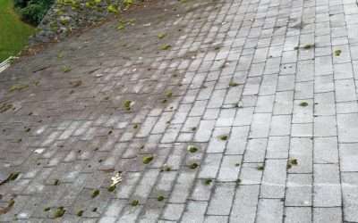 Professional Roof Cleaning: What Is Gentle Power Washing?  