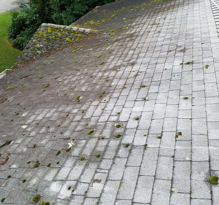 Pressure Washing Randolph NJ, Pressure Washing Pequannock NJ, Pressure Washing Cedar Grove NJ, Pressure Washing Morris Plains NJ, Pressure Washing Chatham NJ, Pressure Washing Denville NJ, Pressure Washing Ramsey NJ, Pressure Washing Glen Rock NJ, Pressure Washing Ridgewood NJ, Pressure Washing Morristown NJ, Pressure Washing Montville NJ, Pressure Washing Upper Saddle River NJ, Pressure Washing Hanover NJ, Pressure Washing East Hanover NJ, Pressure Washing Florham Park NJ, Pressure Washing Caldwell NJ, Pressure Washing Fairfield NJ, Pressure Washing Fairlawn NJ, Pressure Washing Warren NJ, Pressure Washing Milford NJ, Power Washing Randolph NJ, Power Washing Pequannock NJ, Power Washing Cedar Grove NJ, Power Washing Morris Plains NJ, Power Washing Chatham NJ, Power Washing Denville NJ, Power Washing Ramsey NJ, Power Washing Glen Rock NJ, Power Washing Ridgewood NJ, Power Washing Morristown NJ, Power Washing Montville NJ, Power Washing Upper Saddle River NJ, Power Washing Hanover NJ, Power Washing East Hanover NJ, Power Washing Florham Park NJ, Power Washing Caldwell NJ, Power Washing Fairfield NJ, Power Washing Fairlawn NJ, Power Washing Warren NJ, Power Washing Milford NJ, Roof Cleaning Randolph NJ, Roof Cleaning Pequannock NJ, Roof Cleaning Cedar Grove NJ, Roof Cleaning Morris Plains NJ, Roof Cleaning Chatham NJ, Roof Cleaning Denville NJ, Roof Cleaning Ramsey NJ, Roof Cleaning Glen Rock NJ, Roof Cleaning Ridgewood NJ, Roof Cleaning Morristown NJ, Roof Cleaning Montville NJ, Roof Cleaning Upper Saddle River NJ, Roof Cleaning Hanover NJ, Roof Cleaning East Hanover NJ, Roof Cleaning Florham Park NJ, Roof Cleaning Caldwell NJ, Roof Cleaning Fairfield NJ, Roof Cleaning Fairlawn NJ, Roof Cleaning Warren NJ, Roof Cleaning Milford NJ, House Washing Randolph NJ, House Washing Pequannock NJ, House Washing Cedar Grove NJ, House Washing Morris Plains NJ, House Washing Chatham NJ, House Washing Denville NJ, House Washing Ramsey NJ, House Washing Glen Rock NJ, House Washing Ridgewood NJ, House Washing Morristown NJ, House Washing Montville NJ, House Washing Upper Saddle River NJ, House Washing Hanover NJ, House Washing East Hanover NJ, House Washing Florham Park NJ, House Washing Caldwell NJ, House Washing Fairfield NJ, House Washing Fairlawn NJ, House Washing Warren NJ, House Washing Milford NJ
