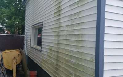 Algae, Mildew & Mold in NJ — More Than Cosmetic