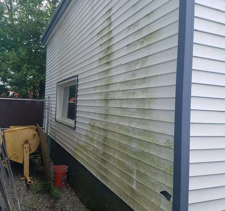 Algae, Mildew & Mold in NJ — More Than Cosmetic