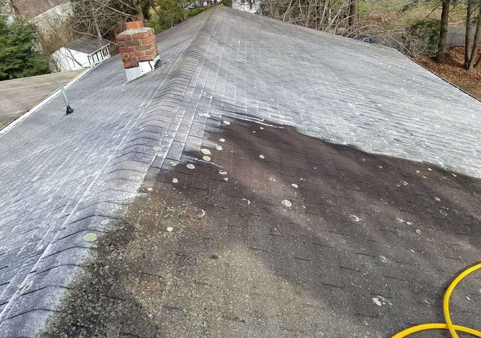 Black Streaks on Roof in NJ? What They Mean and When to Clean