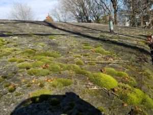 Pressure Washing Randolph NJ, Pressure Washing Pequannock NJ, Pressure Washing Cedar Grove NJ, Pressure Washing Morris Plains NJ, Pressure Washing Chatham NJ, Pressure Washing Denville NJ, Pressure Washing Ramsey NJ, Pressure Washing Glen Rock NJ, Pressure Washing Ridgewood NJ, Pressure Washing Morristown NJ, Pressure Washing Montville NJ, Pressure Washing Upper Saddle River NJ, Pressure Washing Hanover NJ, Pressure Washing East Hanover NJ, Pressure Washing Florham Park NJ, Pressure Washing Caldwell NJ, Pressure Washing Fairfield NJ, Pressure Washing Fairlawn NJ, Pressure Washing Warren NJ, Pressure Washing Milford NJ, Power Washing Randolph NJ, Power Washing Pequannock NJ, Power Washing Cedar Grove NJ, Power Washing Morris Plains NJ, Power Washing Chatham NJ, Power Washing Denville NJ, Power Washing Ramsey NJ, Power Washing Glen Rock NJ, Power Washing Ridgewood NJ, Power Washing Morristown NJ, Power Washing Montville NJ, Power Washing Upper Saddle River NJ, Power Washing Hanover NJ, Power Washing East Hanover NJ, Power Washing Florham Park NJ, Power Washing Caldwell NJ, Power Washing Fairfield NJ, Power Washing Fairlawn NJ, Power Washing Warren NJ, Power Washing Milford NJ, Roof Cleaning Randolph NJ, Roof Cleaning Pequannock NJ, Roof Cleaning Cedar Grove NJ, Roof Cleaning Morris Plains NJ, Roof Cleaning Chatham NJ, Roof Cleaning Denville NJ, Roof Cleaning Ramsey NJ, Roof Cleaning Glen Rock NJ, Roof Cleaning Ridgewood NJ, Roof Cleaning Morristown NJ, Roof Cleaning Montville NJ, Roof Cleaning Upper Saddle River NJ, Roof Cleaning Hanover NJ, Roof Cleaning East Hanover NJ, Roof Cleaning Florham Park NJ, Roof Cleaning Caldwell NJ, Roof Cleaning Fairfield NJ, Roof Cleaning Fairlawn NJ, Roof Cleaning Warren NJ, Roof Cleaning Milford NJ, House Washing Randolph NJ, House Washing Pequannock NJ, House Washing Cedar Grove NJ, House Washing Morris Plains NJ, House Washing Chatham NJ, House Washing Denville NJ, House Washing Ramsey NJ, House Washing Glen Rock NJ, House Washing Ridgewood NJ, House Washing Morristown NJ, House Washing Montville NJ, House Washing Upper Saddle River NJ, House Washing Hanover NJ, House Washing East Hanover NJ, House Washing Florham Park NJ, House Washing Caldwell NJ, House Washing Fairfield NJ, House Washing Fairlawn NJ, House Washing Warren NJ, House Washing Milford NJ