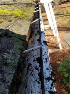 Pressure Washing Randolph NJ, Pressure Washing Pequannock NJ, Pressure Washing Cedar Grove NJ, Pressure Washing Morris Plains NJ, Pressure Washing Chatham NJ, Pressure Washing Denville NJ, Pressure Washing Ramsey NJ, Pressure Washing Glen Rock NJ, Pressure Washing Ridgewood NJ, Pressure Washing Morristown NJ, Pressure Washing Montville NJ, Pressure Washing Upper Saddle River NJ, Pressure Washing Hanover NJ, Pressure Washing East Hanover NJ, Pressure Washing Florham Park NJ, Pressure Washing Caldwell NJ, Pressure Washing Fairfield NJ, Pressure Washing Fairlawn NJ, Pressure Washing Warren NJ, Pressure Washing Milford NJ, Power Washing Randolph NJ, Power Washing Pequannock NJ, Power Washing Cedar Grove NJ, Power Washing Morris Plains NJ, Power Washing Chatham NJ, Power Washing Denville NJ, Power Washing Ramsey NJ, Power Washing Glen Rock NJ, Power Washing Ridgewood NJ, Power Washing Morristown NJ, Power Washing Montville NJ, Power Washing Upper Saddle River NJ, Power Washing Hanover NJ, Power Washing East Hanover NJ, Power Washing Florham Park NJ, Power Washing Caldwell NJ, Power Washing Fairfield NJ, Power Washing Fairlawn NJ, Power Washing Warren NJ, Power Washing Milford NJ, Roof Cleaning Randolph NJ, Roof Cleaning Pequannock NJ, Roof Cleaning Cedar Grove NJ, Roof Cleaning Morris Plains NJ, Roof Cleaning Chatham NJ, Roof Cleaning Denville NJ, Roof Cleaning Ramsey NJ, Roof Cleaning Glen Rock NJ, Roof Cleaning Ridgewood NJ, Roof Cleaning Morristown NJ, Roof Cleaning Montville NJ, Roof Cleaning Upper Saddle River NJ, Roof Cleaning Hanover NJ, Roof Cleaning East Hanover NJ, Roof Cleaning Florham Park NJ, Roof Cleaning Caldwell NJ, Roof Cleaning Fairfield NJ, Roof Cleaning Fairlawn NJ, Roof Cleaning Warren NJ, Roof Cleaning Milford NJ, House Washing Randolph NJ, House Washing Pequannock NJ, House Washing Cedar Grove NJ, House Washing Morris Plains NJ, House Washing Chatham NJ, House Washing Denville NJ, House Washing Ramsey NJ, House Washing Glen Rock NJ, House Washing Ridgewood NJ, House Washing Morristown NJ, House Washing Montville NJ, House Washing Upper Saddle River NJ, House Washing Hanover NJ, House Washing East Hanover NJ, House Washing Florham Park NJ, House Washing Caldwell NJ, House Washing Fairfield NJ, House Washing Fairlawn NJ, House Washing Warren NJ, House Washing Milford NJ