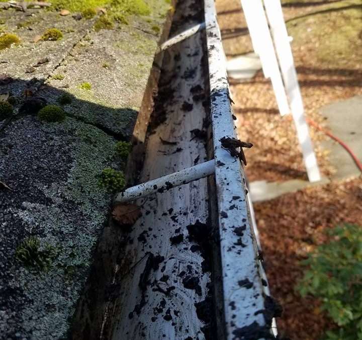 Can Clogged Gutters Make Roof Stains Worse? What NJ Homeowners Should Know