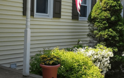 How to Find Affordable Pressure Washing Services in NJ That Really Work