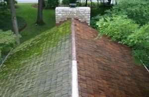 Pressure Washing Randolph NJ, Pressure Washing Pequannock NJ, Pressure Washing Cedar Grove NJ, Pressure Washing Morris Plains NJ, Pressure Washing Chatham NJ, Pressure Washing Denville NJ, Pressure Washing Ramsey NJ, Pressure Washing Glen Rock NJ, Pressure Washing Ridgewood NJ, Pressure Washing Morristown NJ, Pressure Washing Montville NJ, Pressure Washing Upper Saddle River NJ, Pressure Washing Hanover NJ, Pressure Washing East Hanover NJ, Pressure Washing Florham Park NJ, Pressure Washing Caldwell NJ, Pressure Washing Fairfield NJ, Pressure Washing Fairlawn NJ, Pressure Washing Warren NJ, Pressure Washing Milford NJ, Power Washing Randolph NJ, Power Washing Pequannock NJ, Power Washing Cedar Grove NJ, Power Washing Morris Plains NJ, Power Washing Chatham NJ, Power Washing Denville NJ, Power Washing Ramsey NJ, Power Washing Glen Rock NJ, Power Washing Ridgewood NJ, Power Washing Morristown NJ, Power Washing Montville NJ, Power Washing Upper Saddle River NJ, Power Washing Hanover NJ, Power Washing East Hanover NJ, Power Washing Florham Park NJ, Power Washing Caldwell NJ, Power Washing Fairfield NJ, Power Washing Fairlawn NJ, Power Washing Warren NJ, Power Washing Milford NJ, Roof Cleaning Randolph NJ, Roof Cleaning Pequannock NJ, Roof Cleaning Cedar Grove NJ, Roof Cleaning Morris Plains NJ, Roof Cleaning Chatham NJ, Roof Cleaning Denville NJ, Roof Cleaning Ramsey NJ, Roof Cleaning Glen Rock NJ, Roof Cleaning Ridgewood NJ, Roof Cleaning Morristown NJ, Roof Cleaning Montville NJ, Roof Cleaning Upper Saddle River NJ, Roof Cleaning Hanover NJ, Roof Cleaning East Hanover NJ, Roof Cleaning Florham Park NJ, Roof Cleaning Caldwell NJ, Roof Cleaning Fairfield NJ, Roof Cleaning Fairlawn NJ, Roof Cleaning Warren NJ, Roof Cleaning Milford NJ, House Washing Randolph NJ, House Washing Pequannock NJ, House Washing Cedar Grove NJ, House Washing Morris Plains NJ, House Washing Chatham NJ, House Washing Denville NJ, House Washing Ramsey NJ, House Washing Glen Rock NJ, House Washing Ridgewood NJ, House Washing Morristown NJ, House Washing Montville NJ, House Washing Upper Saddle River NJ, House Washing Hanover NJ, House Washing East Hanover NJ, House Washing Florham Park NJ, House Washing Caldwell NJ, House Washing Fairfield NJ, House Washing Fairlawn NJ, House Washing Warren NJ, House Washing Milford NJ