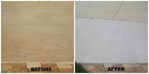 Pressure Washing Randolph NJ, Pressure Washing Pequannock NJ, Pressure Washing Cedar Grove NJ, Pressure Washing Morris Plains NJ, Pressure Washing Chatham NJ, Pressure Washing Denville NJ, Pressure Washing Ramsey NJ, Pressure Washing Glen Rock NJ, Pressure Washing Ridgewood NJ, Pressure Washing Morristown NJ, Pressure Washing Montville NJ, Pressure Washing Upper Saddle River NJ, Pressure Washing Hanover NJ, Pressure Washing East Hanover NJ, Pressure Washing Florham Park NJ, Pressure Washing Caldwell NJ, Pressure Washing Fairfield NJ, Pressure Washing Fairlawn NJ, Pressure Washing Warren NJ, Pressure Washing Milford NJ, Power Washing Randolph NJ, Power Washing Pequannock NJ, Power Washing Cedar Grove NJ, Power Washing Morris Plains NJ, Power Washing Chatham NJ, Power Washing Denville NJ, Power Washing Ramsey NJ, Power Washing Glen Rock NJ, Power Washing Ridgewood NJ, Power Washing Morristown NJ, Power Washing Montville NJ, Power Washing Upper Saddle River NJ, Power Washing Hanover NJ, Power Washing East Hanover NJ, Power Washing Florham Park NJ, Power Washing Caldwell NJ, Power Washing Fairfield NJ, Power Washing Fairlawn NJ, Power Washing Warren NJ, Power Washing Milford NJ, Roof Cleaning Randolph NJ, Roof Cleaning Pequannock NJ, Roof Cleaning Cedar Grove NJ, Roof Cleaning Morris Plains NJ, Roof Cleaning Chatham NJ, Roof Cleaning Denville NJ, Roof Cleaning Ramsey NJ, Roof Cleaning Glen Rock NJ, Roof Cleaning Ridgewood NJ, Roof Cleaning Morristown NJ, Roof Cleaning Montville NJ, Roof Cleaning Upper Saddle River NJ, Roof Cleaning Hanover NJ, Roof Cleaning East Hanover NJ, Roof Cleaning Florham Park NJ, Roof Cleaning Caldwell NJ, Roof Cleaning Fairfield NJ, Roof Cleaning Fairlawn NJ, Roof Cleaning Warren NJ, Roof Cleaning Milford NJ, House Washing Randolph NJ, House Washing Pequannock NJ, House Washing Cedar Grove NJ, House Washing Morris Plains NJ, House Washing Chatham NJ, House Washing Denville NJ, House Washing Ramsey NJ, House Washing Glen Rock NJ, House Washing Ridgewood NJ, House Washing Morristown NJ, House Washing Montville NJ, House Washing Upper Saddle River NJ, House Washing Hanover NJ, House Washing East Hanover NJ, House Washing Florham Park NJ, House Washing Caldwell NJ, House Washing Fairfield NJ, House Washing Fairlawn NJ, House Washing Warren NJ, House Washing Milford NJ