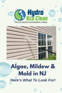 Algae, mildew & mold aren’t just cosmetic. Learn risks and the best way to remove growth on NJ roofs & siding—why soft washing protects your home. Free estimate.