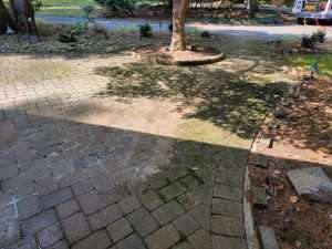 Brick pavers and hardscape covered in organic material, dirt, and debris before pressure washing with Hydro Eco Clean