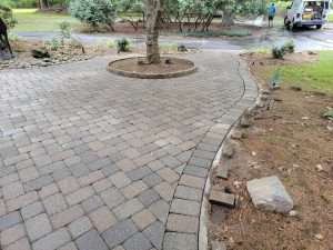 Brick pavers and hardscape covered in organic material, dirt, and debris after pressure washing with Hydro Eco Clean