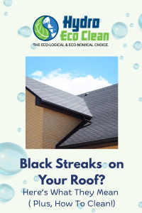 Black streaks on your roof in NJ usually point to algae growth, not just dirt. Learn what causes roof stains, when to clean them, and what else to check outside.